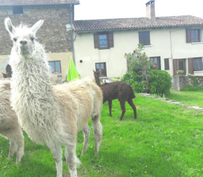 Ferme Animalière Lamalpapoche Sanctuaire la Prairie des animaux